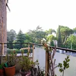 Rent 1 bedroom apartment in Rome