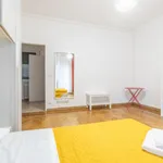 Rent 5 bedroom apartment in Bologna