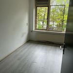 Studio of 25 m² in Weizigtpark