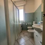 Rent 2 bedroom apartment of 60 m² in Bologna