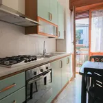 via Caruso, Milan - Amsterdam Apartments for Rent