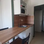 Rent 1 bedroom apartment of 22 m² in MARSEILLET