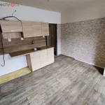 Rent 4 bedroom apartment of 92 m² in Jindřichův Hradec