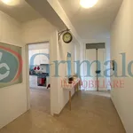 Affitto 3 camera appartamento di 90 m² in Perugia