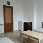 Rent 1 bedroom house in Pelhřimov