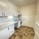 Rent 1 bedroom apartment in Ostrava