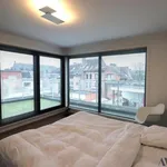 Rent 2 bedroom apartment in Bornem