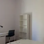 Rent a room in bologna