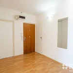 Rent 4 bedroom apartment of 89 m² in Brno