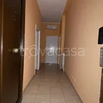 Rent 2 bedroom apartment of 65 m² in Guidonia Montecelio