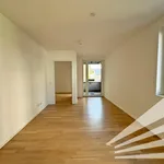 Rent 2 bedroom apartment of 41 m² in Linz