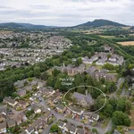 Sycamore Avenue, Abergavenny