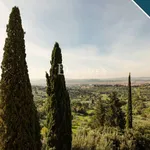 Rent 20 bedroom apartment of 350 m² in Fiesole