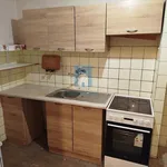 Rent 1 bedroom apartment in Písek