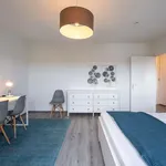 Rent 1 bedroom apartment of 62 m² in berlin