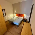 Rent 2 bedroom apartment of 60 m² in Torino