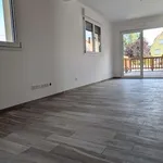 Rent 3 bedroom apartment of 80 m² in Bischoffsheim