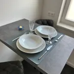 Rent 1 bedroom apartment of 40 m² in Hanover