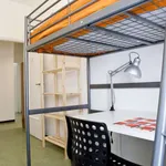 Rent a room of 150 m² in rome