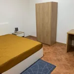 Rent 4 bedroom apartment in Covilha