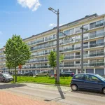 Rent 1 bedroom apartment in Antwerpen