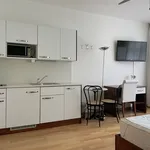 Rent 1 bedroom apartment of 17 m² in Zurich