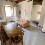 Rent 1 bedroom apartment of 35 m² in Pavia