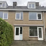 Rent 6 bedroom house of 117 m² in Alkmaar