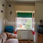 Rent 4 bedroom apartment of 50 m² in Campobasso