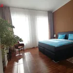 Pronajměte si 1 ložnic/e byt o rozloze 128 m² v bruntal