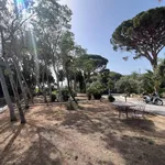 Rent 5 bedroom house of 320 m² in Messina