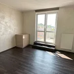 Rent 1 bedroom apartment in Pilsen