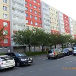 Rent 1 bedroom apartment in Most