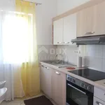 Rent 3 bedroom apartment of 85 m² in Grad Rijeka