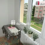 Rent 1 bedroom apartment of 34 m² in Vlašim