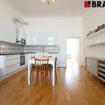 Rent 2 bedroom apartment of 60 m² in Brno