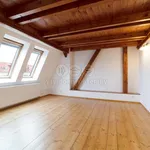 Rent 3 bedroom apartment of 81 m² in Pilsen