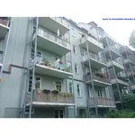 Rent 3 bedroom apartment of 66 m² in Dresden