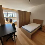 Alugar 3 quarto apartamento em Coimbra