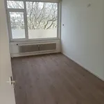 Huur 2 slaapkamer appartement van 67 m² in Ermelo