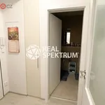 Rent 1 bedroom apartment of 36 m² in Brno