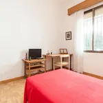 Rent 4 bedroom apartment in Madrid