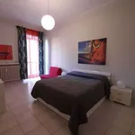 Rent 1 bedroom apartment of 45 m² in turin