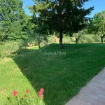 Rent 4 bedroom apartment of 58 m² in Siena