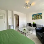 Rent 4 bedroom apartment of 75 m² in Lyon