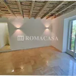 Rent 5 bedroom apartment of 225 m² in Grottaferrata