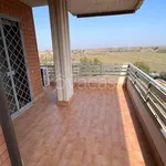 Rent 3 bedroom apartment of 80 m² in Pomezia