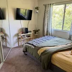 Rent 1 bedroom apartment in San Diego