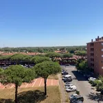 Rent 1 bedroom apartment of 50 m² in Roma