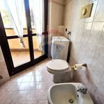 Rent 2 bedroom apartment of 50 m² in Busto Arsizio